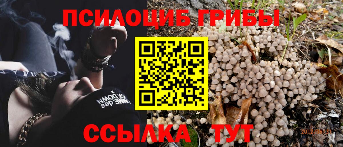 Аша  Галлюциногенные грибы прущие грибы  Псилоцибиновые грибы MAGIC MUSHROOMS  Вход с VPN 